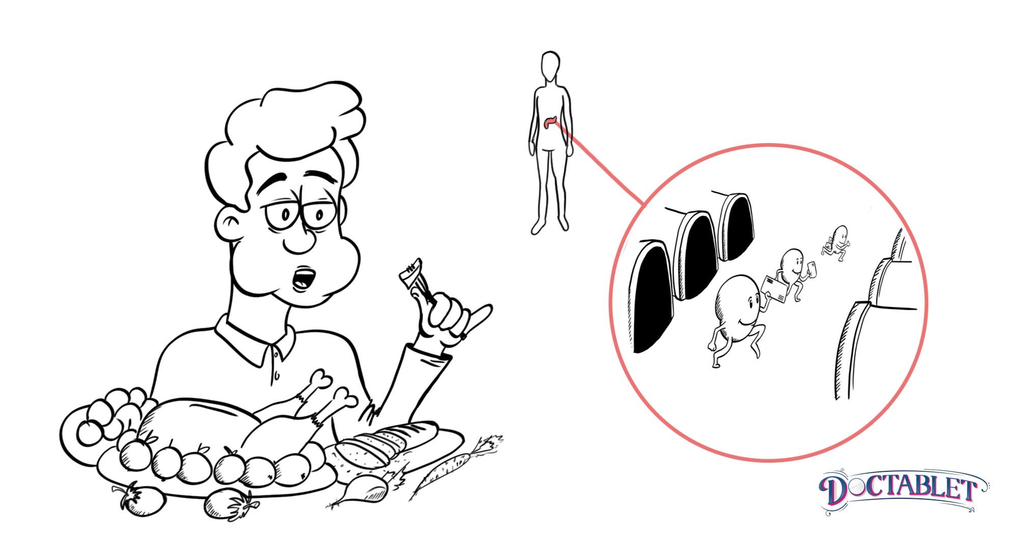 Como funciona la insulina?: le alerta al cuerpo que la energía viene de camino.