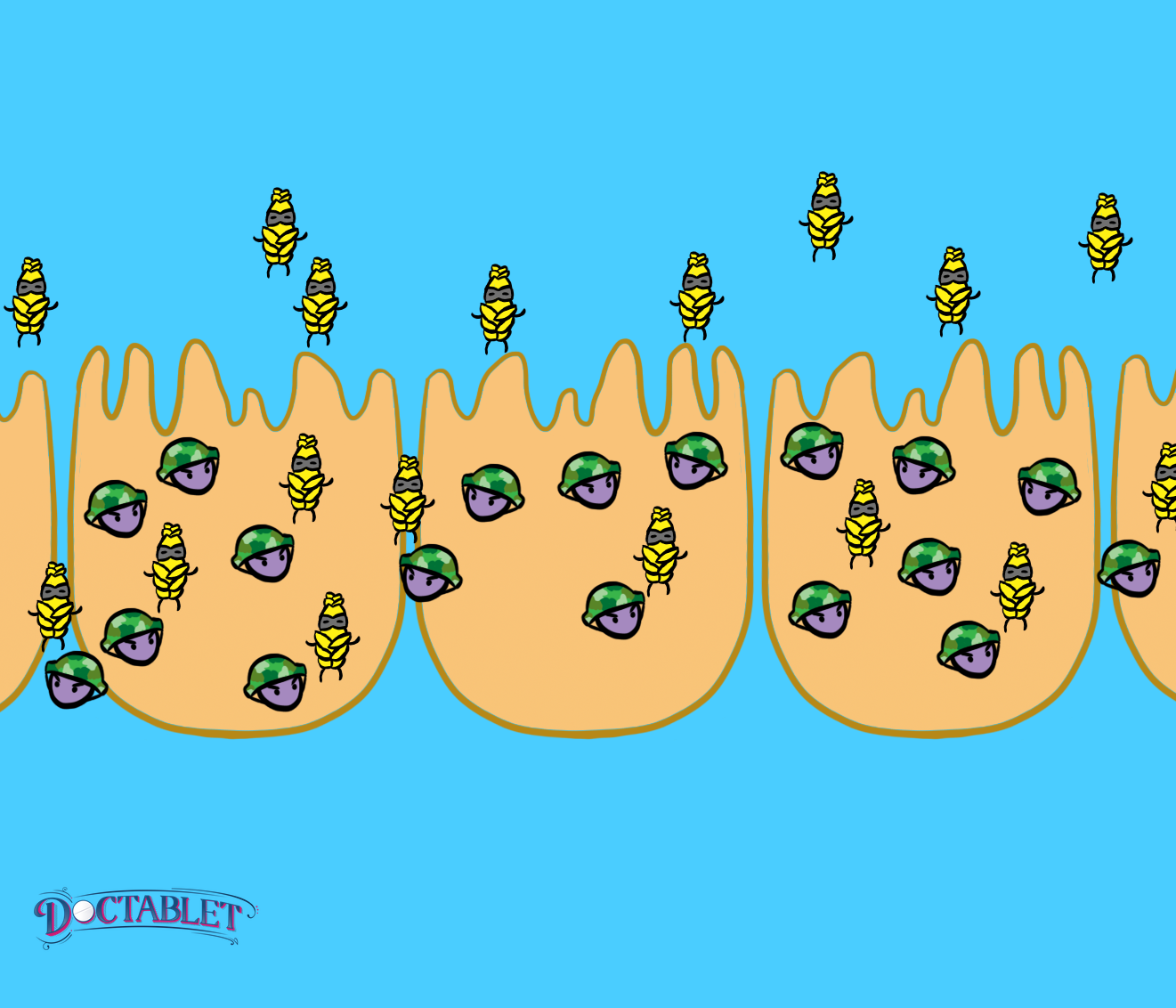 En la enfermedad celíaca, un trastorno autoinmune, el ejército de células inmunes del cuerpo reacciona contra el gluten y ataca a las células principales que recubren el intestino delgado. Este proceso puede conducir a una disminución de la capacidad de absorber importantes vitaminas y minerales-lo que los médicos llaman malabsorción.