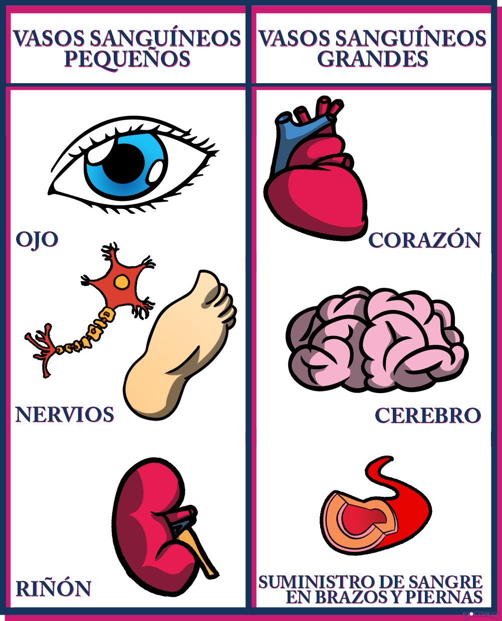 problemas relacionados a la diabetes