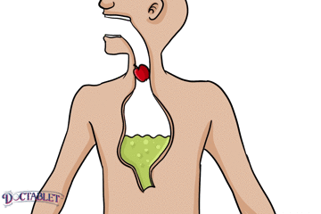 The amount of energy obtained from digesting a set amount of food is called a calorie.  