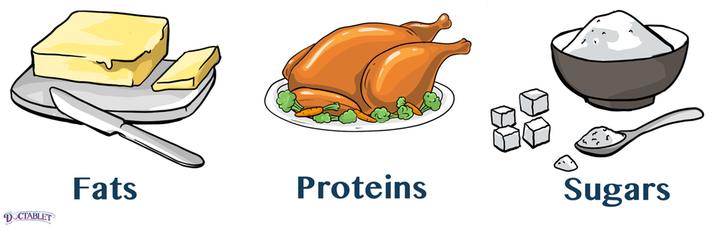 There are three main ingredients in food that provide energy -- fats, carbohydrates and proteins. 